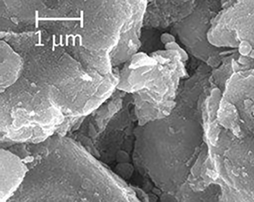 MicroXact Nanomaterials